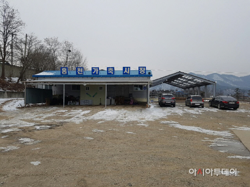 가축시장 사진1