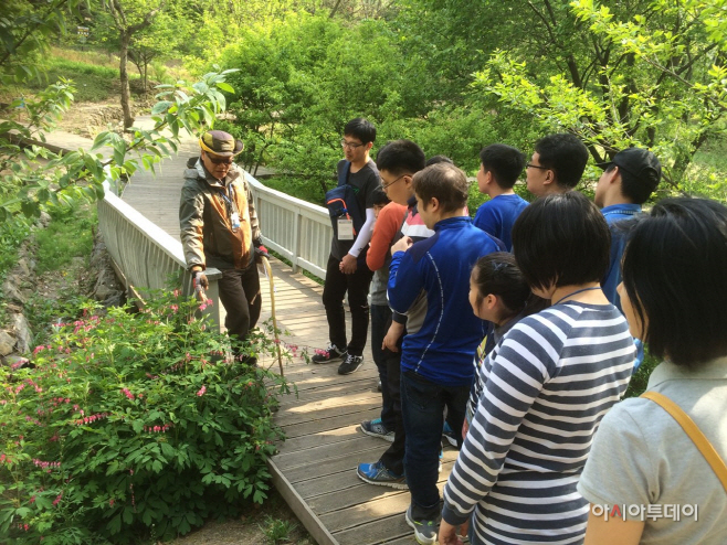 숲 해설 프로그램
