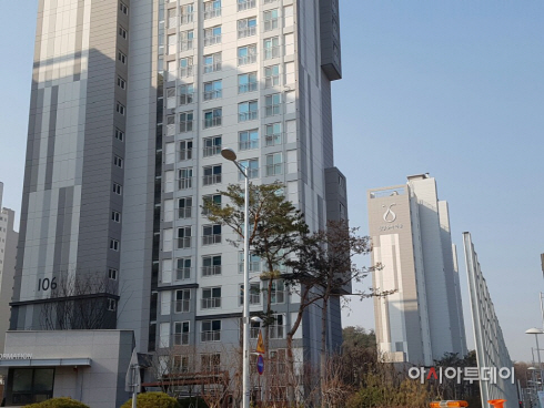 신정숲