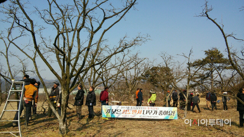 청도군과수1