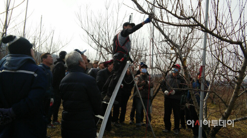 과수