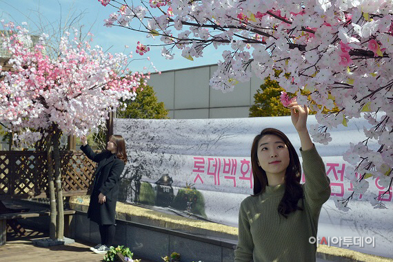동래벚꽃 가로