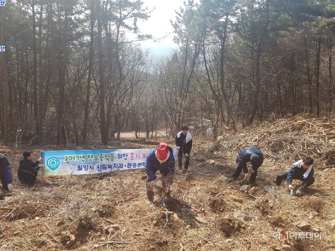 0317 밀양시, 탄소중립형 춘기조림사업 시행