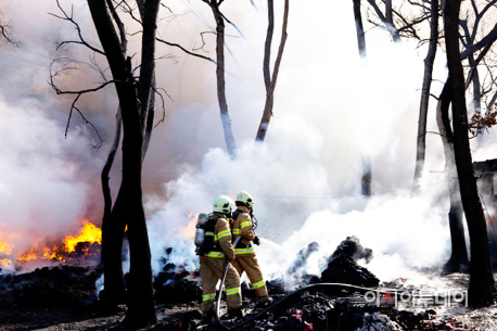 서산 산불진화 모습