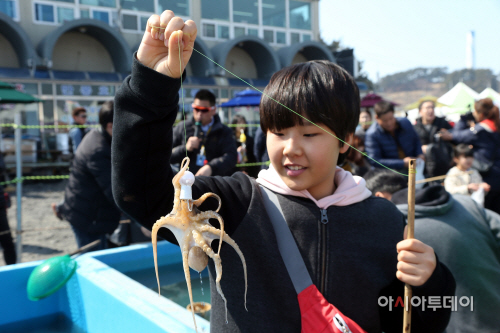 (903일)서천군 제18회 서천 동백꽃 주꾸미 축제 성료 (5)