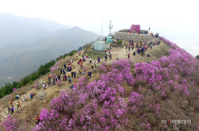 0409 제9회 종남산 진달래 축제 성료(1)