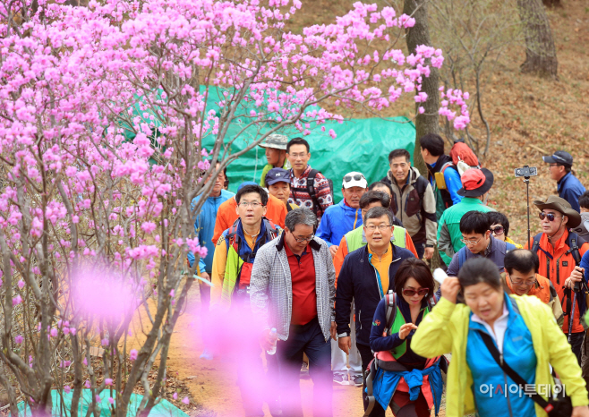 0409 제9회 종남산 진달래 축제 성료(4)