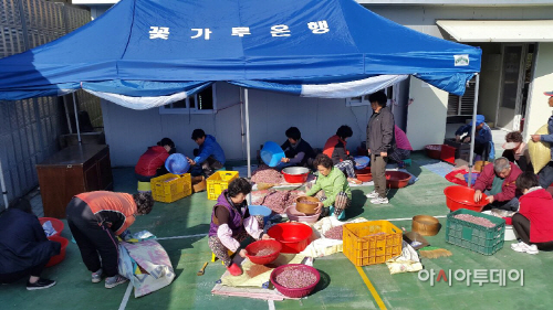 청도군꽃가루