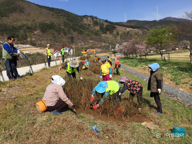 0411 상동체육공원에 철쭉 2,000주 식재