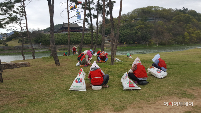 0414 밀양강 둔치 녹지대 관리 구슬땀(1)