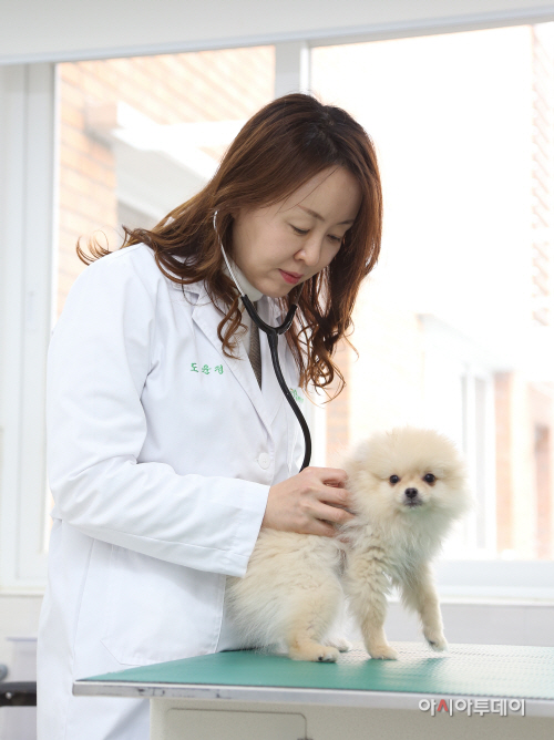 반려견건강관리사진 (1)
