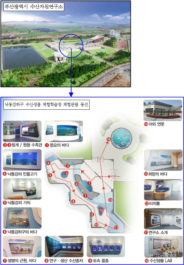 부산, '낙동강 수산생물체험학습장' 본격 운영