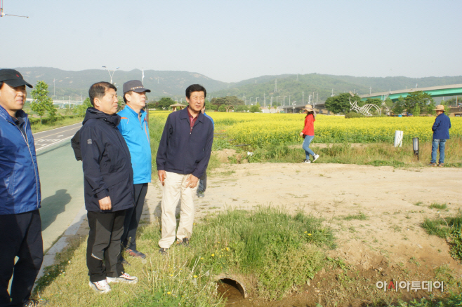 유채꽃단지 로드체킹