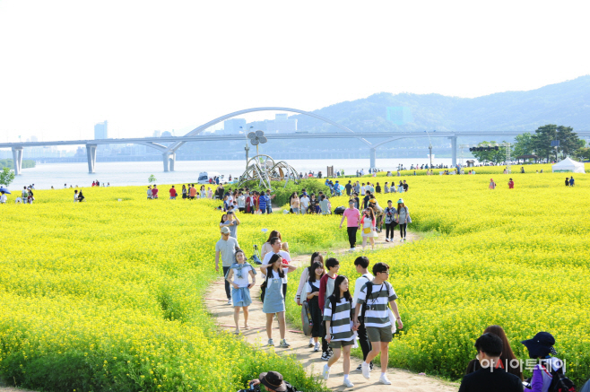 구리유채꽃축제 힐링속으로