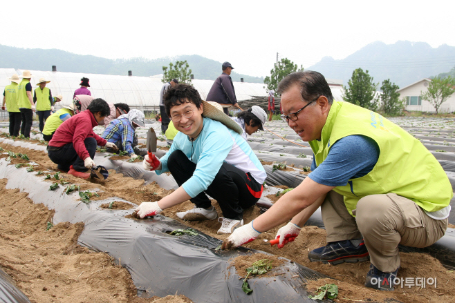 보도자료2