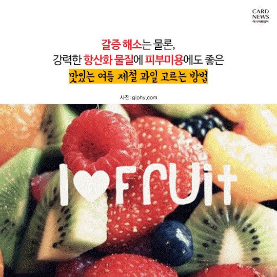 카드 뉴스 이미지