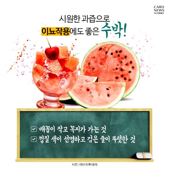 카드 뉴스 이미지