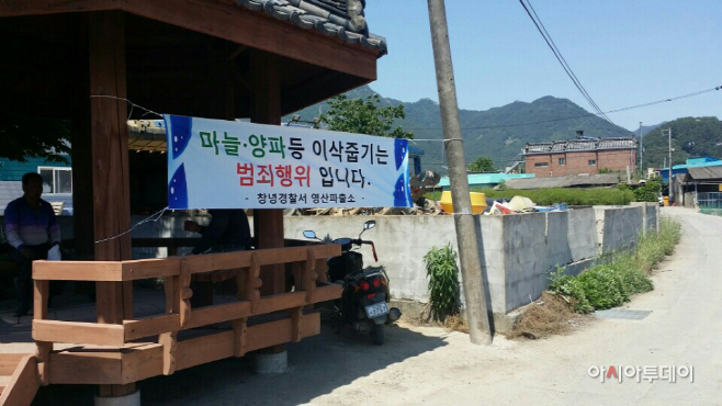 플랜카드1