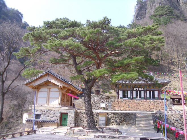청량사 삼각우송