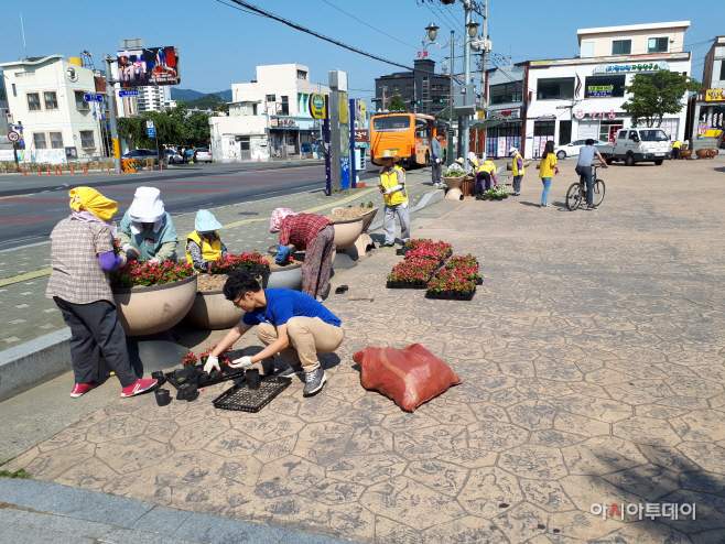 0614 가곡동 싱그러운 여름꽃(베고니아) 식재