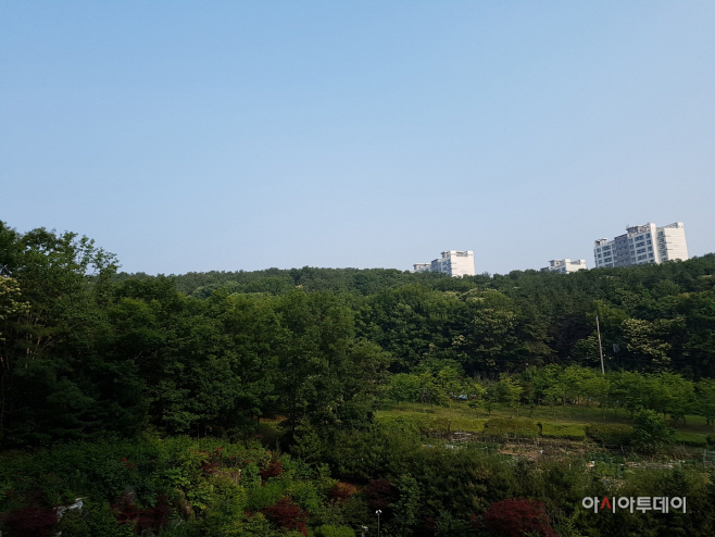 광교산 개발대상 임야