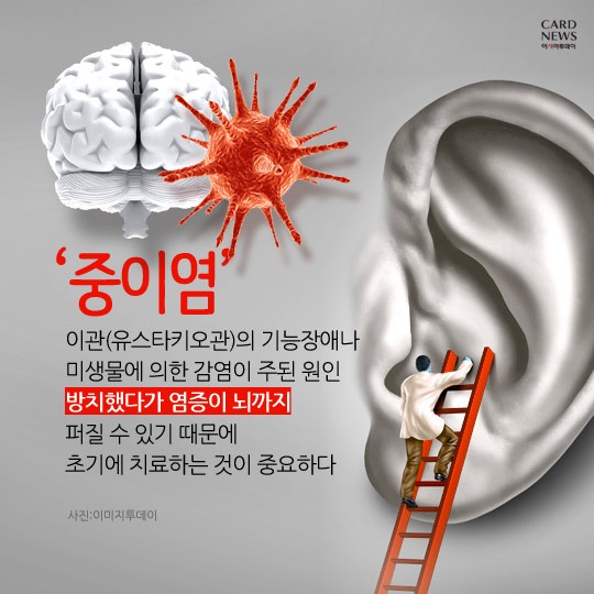카드 뉴스 이미지
