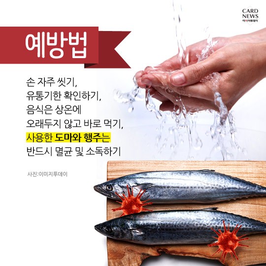 카드 뉴스 이미지
