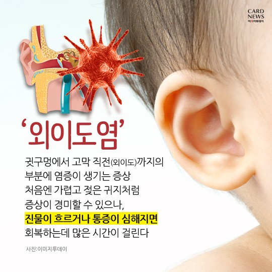 카드 뉴스 이미지