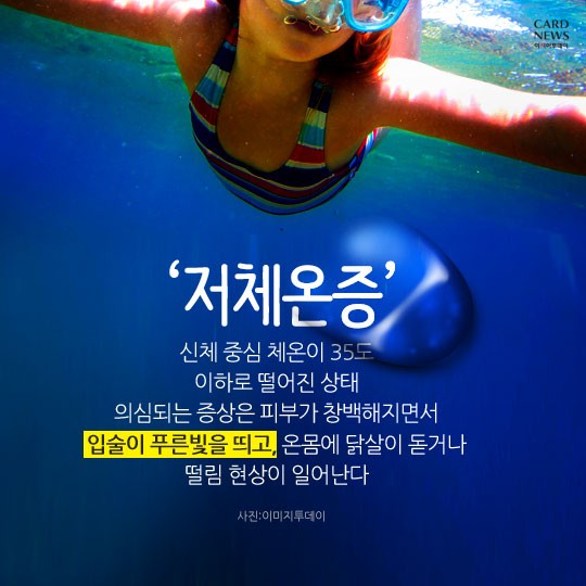 카드 뉴스 이미지
