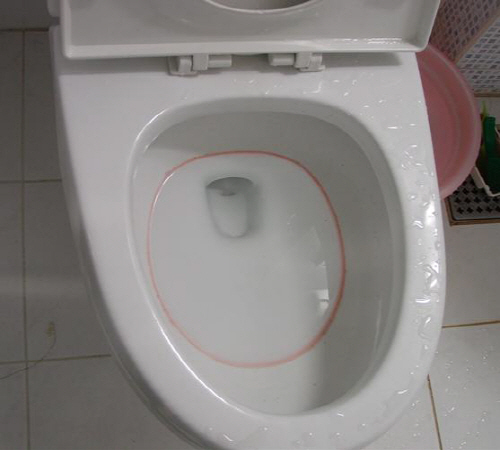 변기_분홍색때