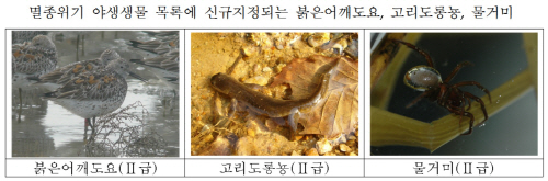 멸종위기_야생생물목록