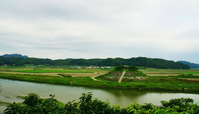 도산면 의촌리