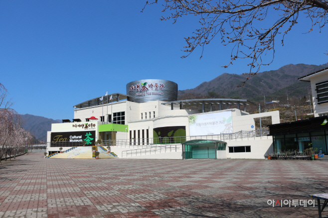 야생차박물관 이벤트1