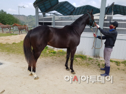 이천쌀 경주마