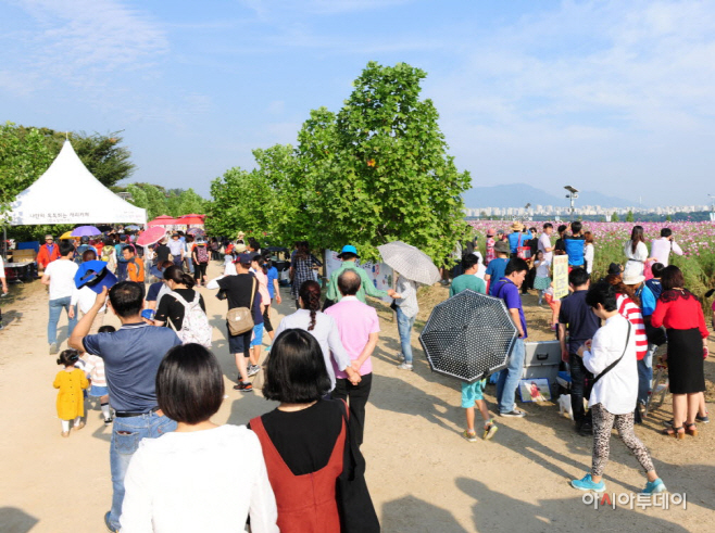 구리코스모스축제