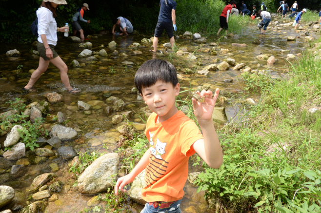 가재 (3)