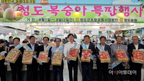 청도복숭아 판매홍보