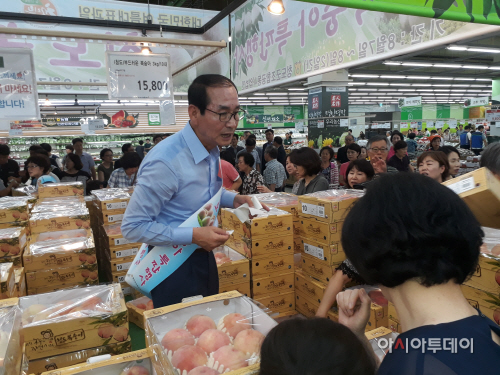 서울에서 복숭아홍보