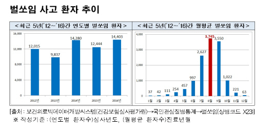 벌쏘임