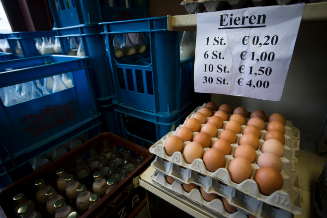 BELGIUM-EU-HEALTH-FOOD-EGGS <YONHAP NO-0123> (AFP)