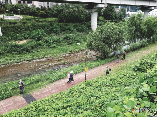 용인 신갈천 산책로 제초작업