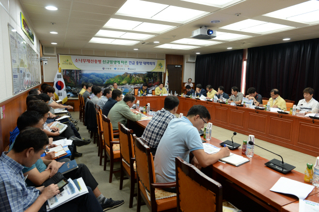 0818소나무 재선충병 발생 대책회의 (2)
