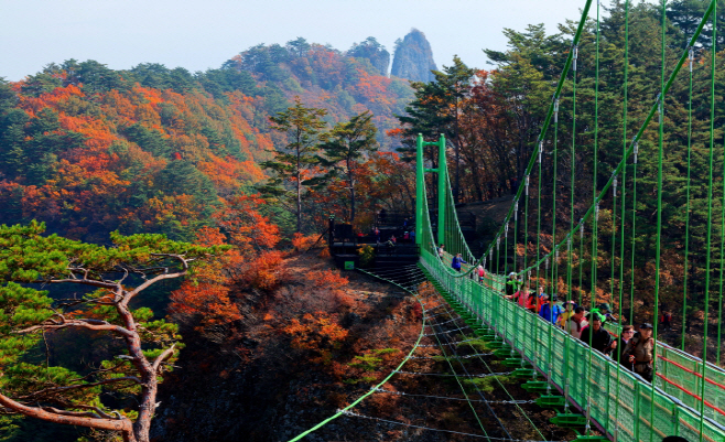 청량산과 하늘다리