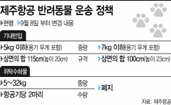제주항공 표