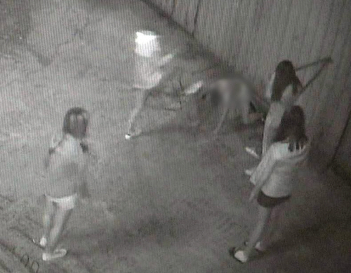 부산 여중생 폭행하는 가해자들