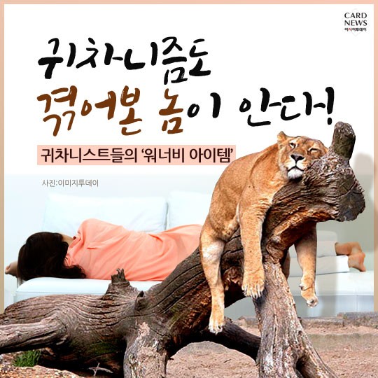 카드 뉴스 이미지