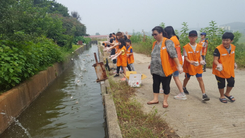 평택시, EM흙공던지기 및 환경정화활동 실시