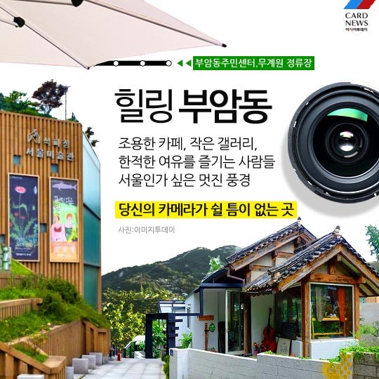 카드 뉴스 이미지