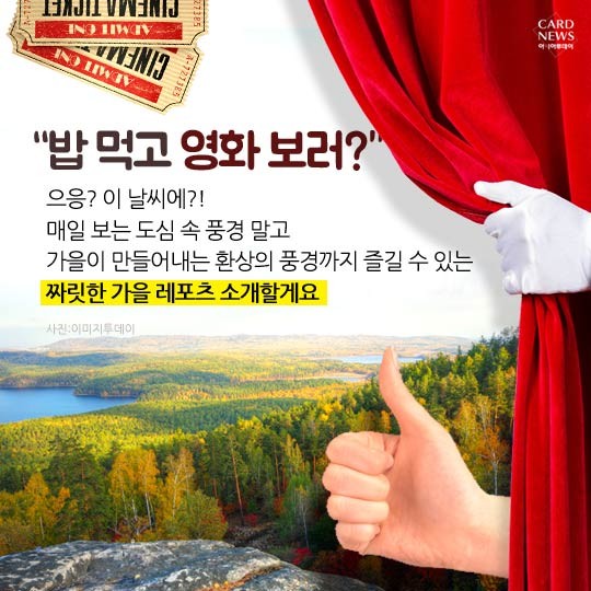 카드 뉴스 이미지