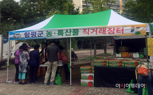 함평군여성단체협의회 직거래장터